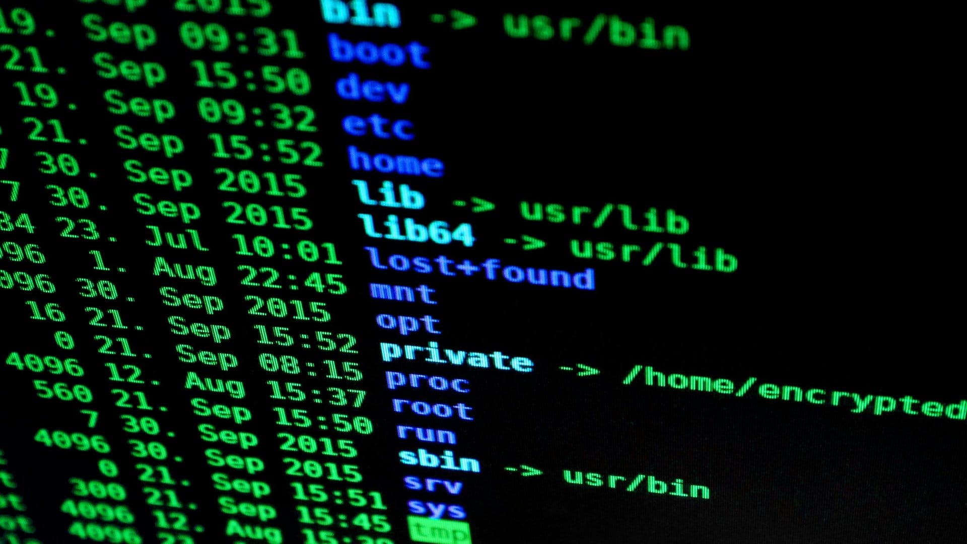 Kali Linux Skills Every Pen Tester Should Have — photo by Pixabay via Pexels