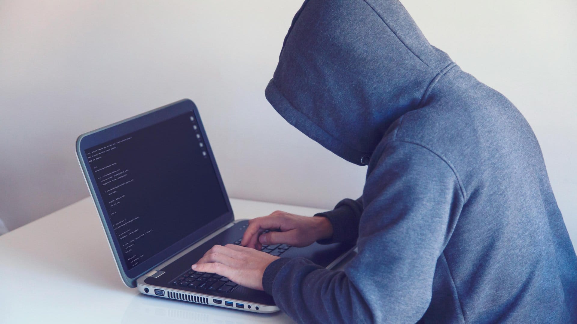 How Bug Bounty Programs Work in Canada — photo by Nikita Belokhonov via Pexels