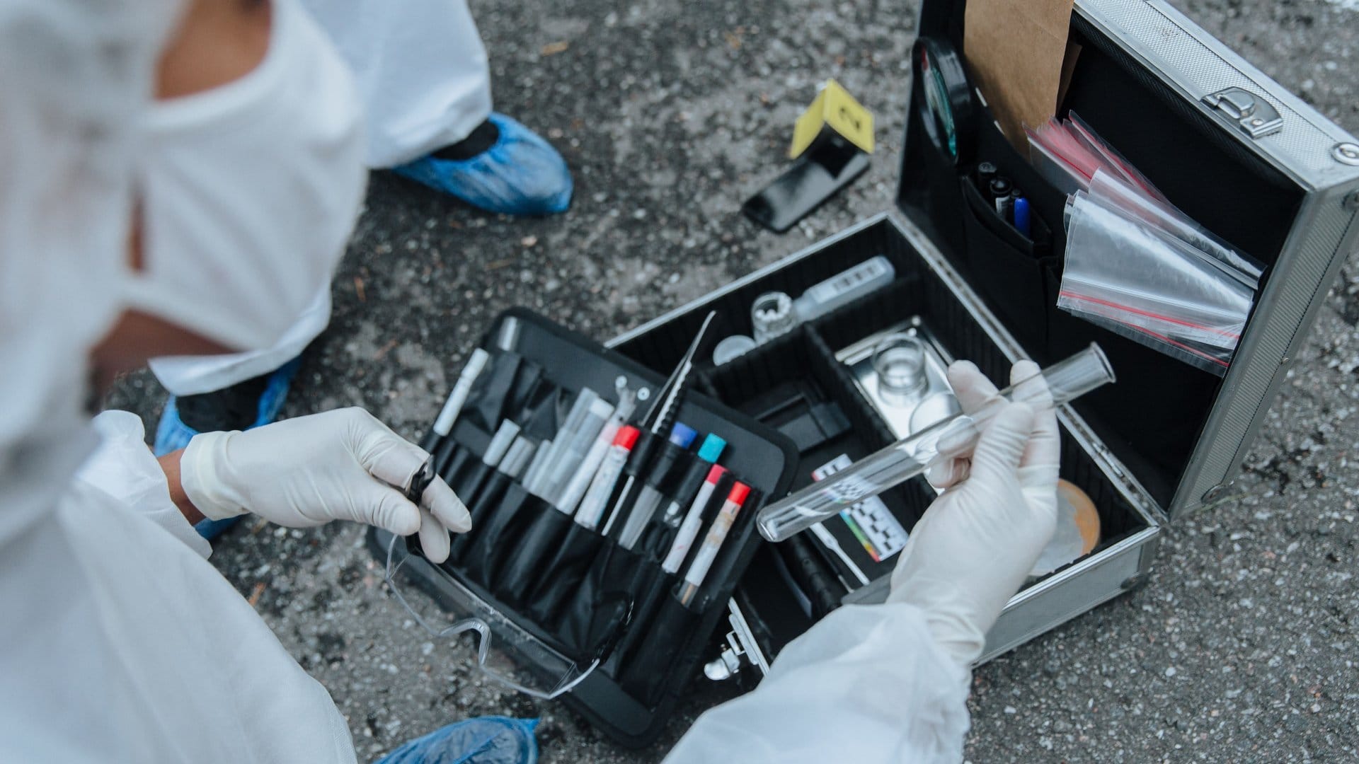 What Is the CDFE Certification and Who Should Get It? — photo by cottonbro studio via Pexels