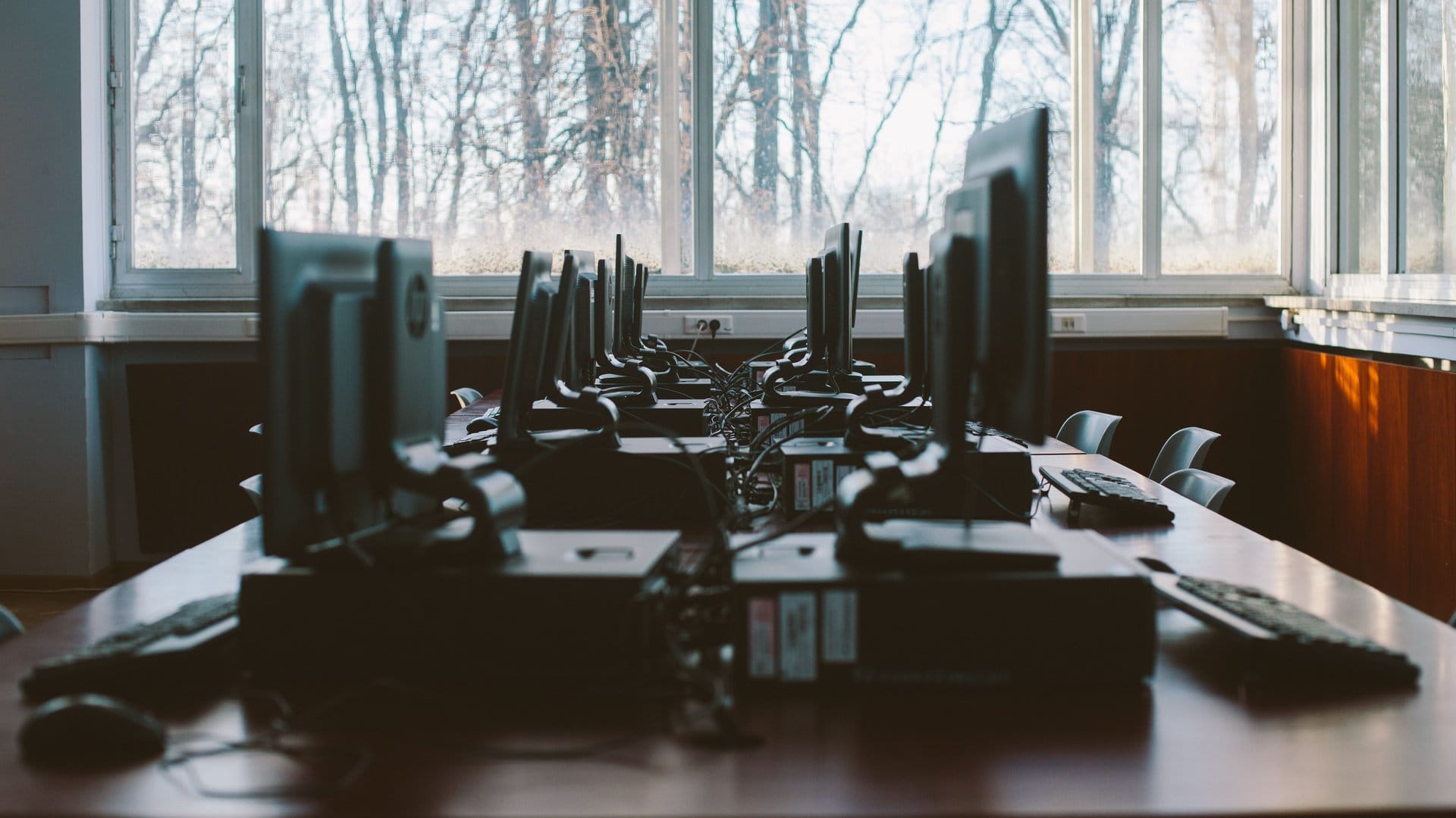Building a Cybersecurity Curriculum That Meets NIST Standards — photo by Polina Zimmerman via Pexels