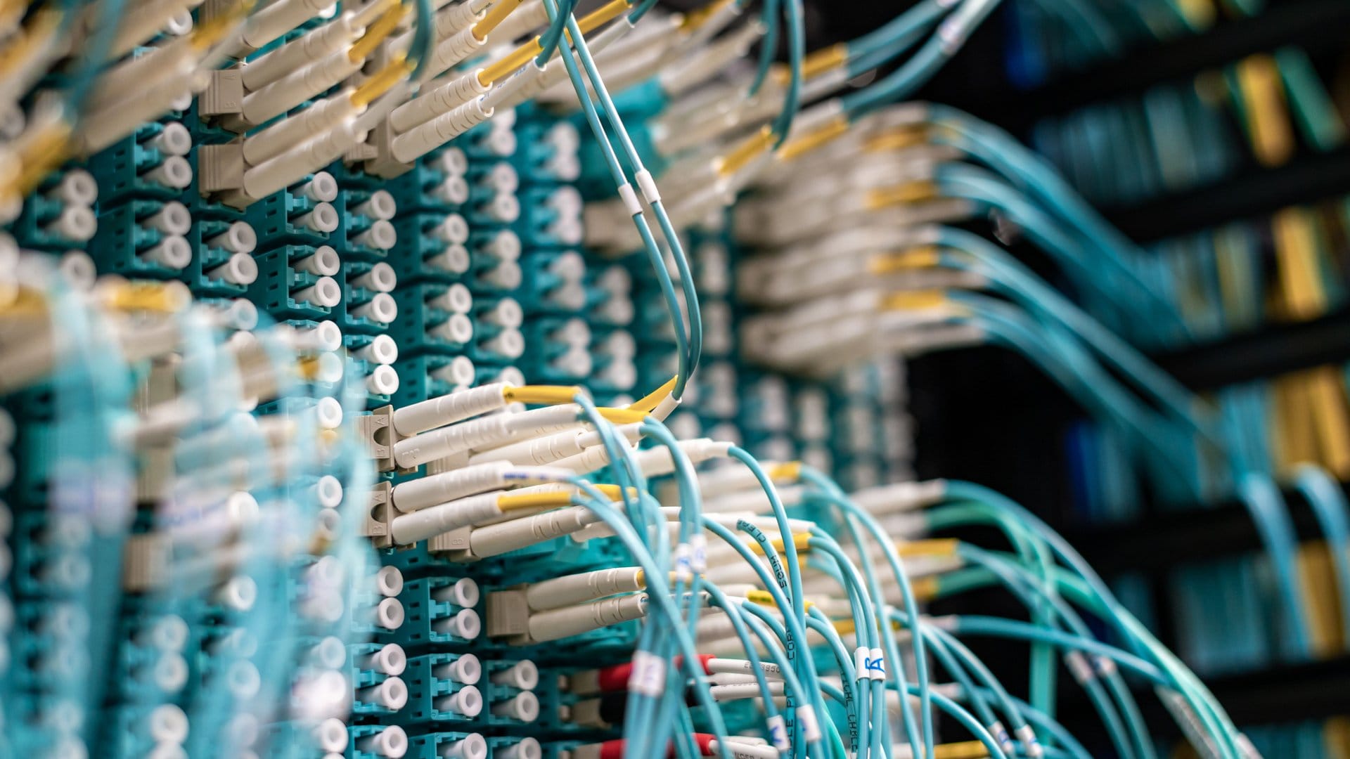 DNS Security: Why It Matters More Than You Think — photo by Brett Sayles via Pexels
