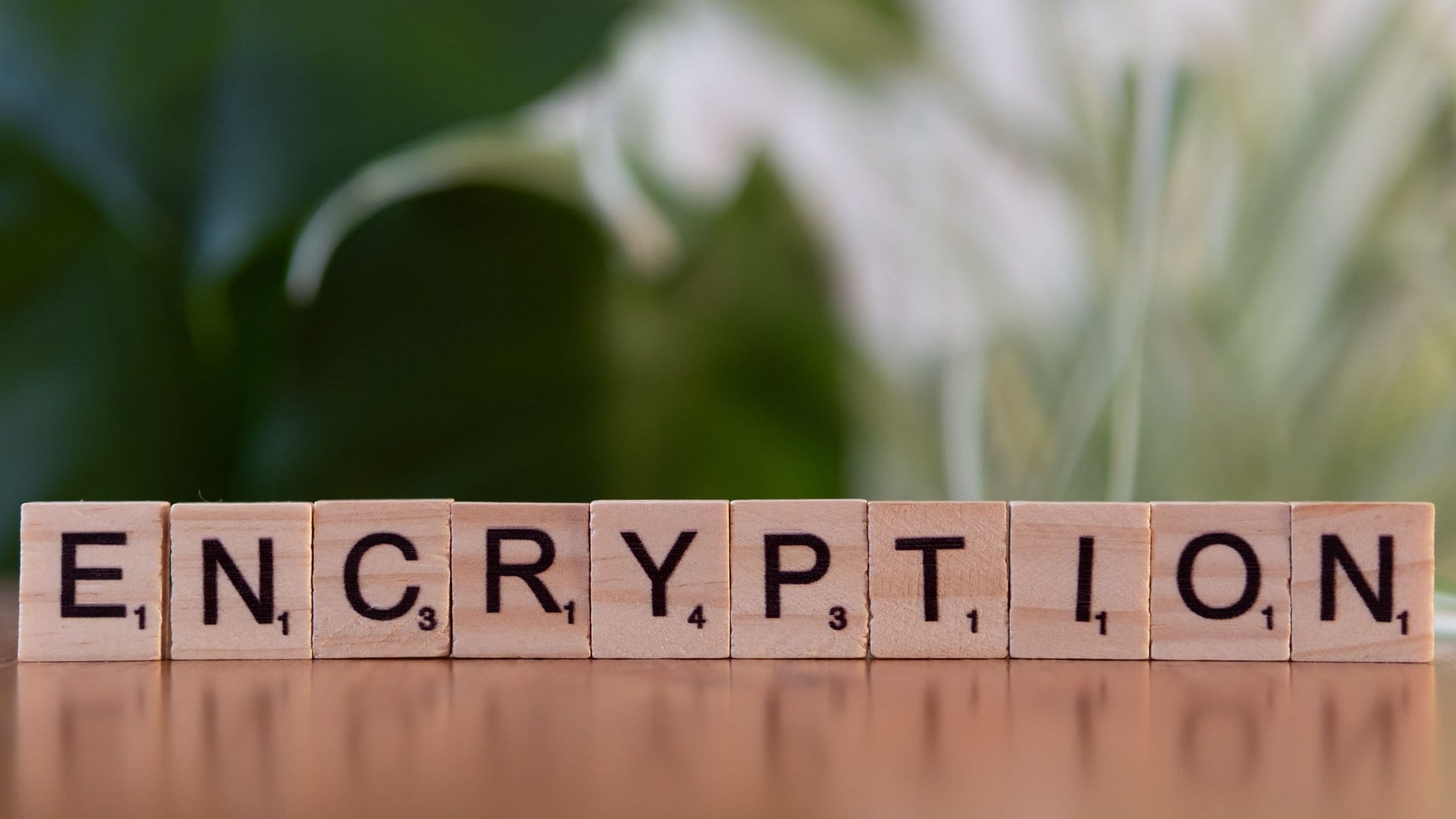 Understanding Public Key Infrastructure for Security Pros — photo by Markus Winkler via Pexels